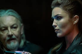 Power Book IV: Force: Family Business