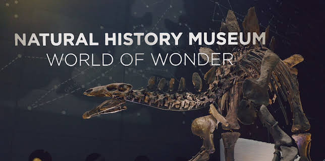 Natural History Museum: World of Wonder