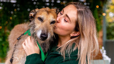 2:35 AM: The Dog House | Channel 4 | 6/15 2026