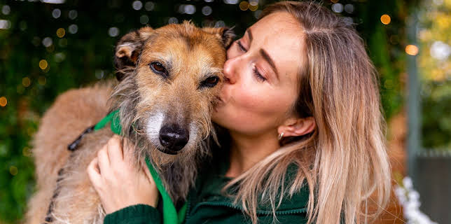 7:55 PM: The Dog House | More 4 | 2/4 2026