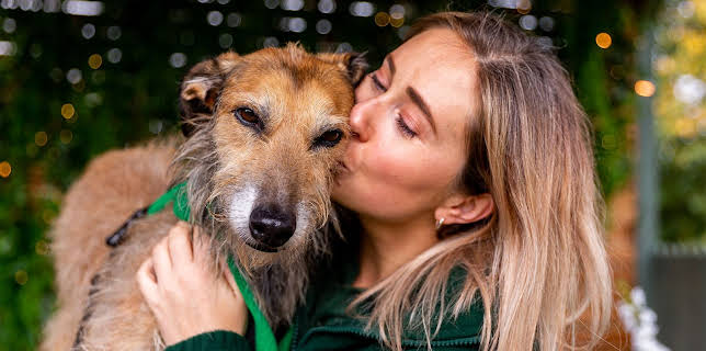 The Dog House at Christmas