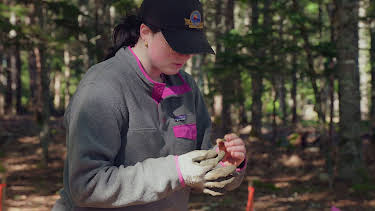 20:15: Die Schatzsucher von Oak Island | Kabel Eins Doku | 4/12 2026