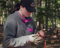 Die Schatzsucher von Oak Island