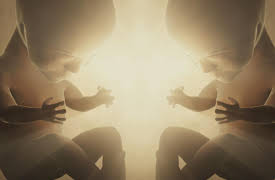 Ancient Aliens: Origins: Season 1: Human Genesis