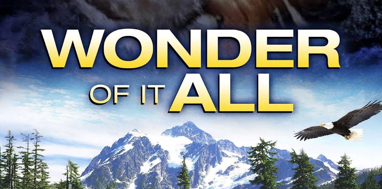 Wonder of It All (2007)