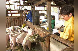 Dining Al Fresco: Naturally Aged Pork