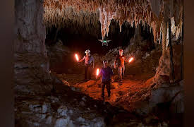 Expedition with Steve Backshall: Season 1: Mexico: Maya Underworld