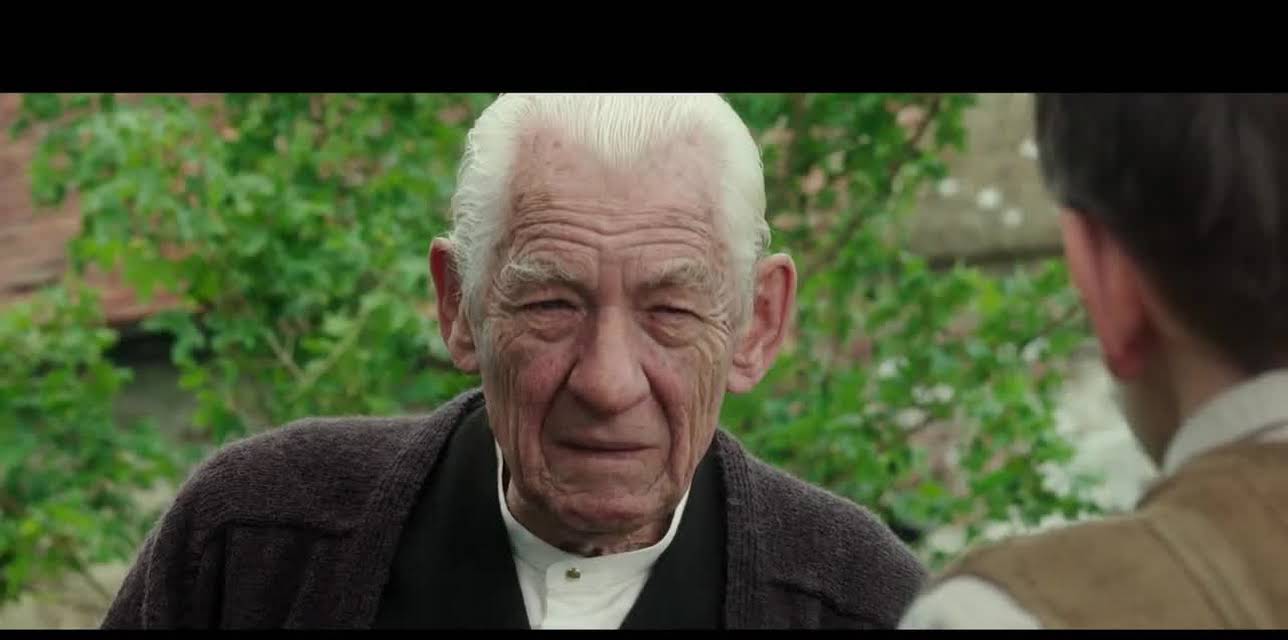 Mr. Holmes (2015)