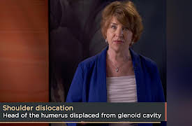 How We Move: The Gross Anatomy of Motion: The Shoulder: Mobility versus Stability