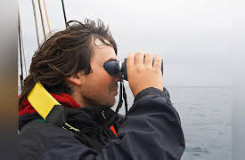 The National Geographic Guide to Birding in North America: Pelagic Birding