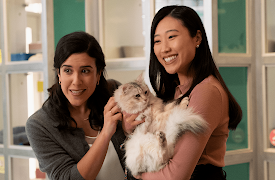 Strays S1: The Snowball Effect