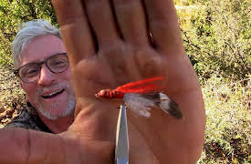 Alone: Finding a Foothold