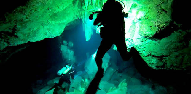 11:05 AM: Deadly 60 (S3) | CBBC | 3/24 2026