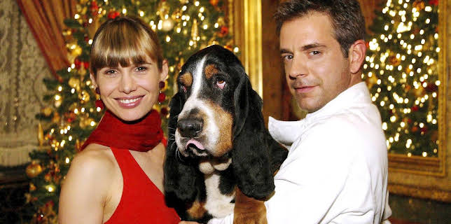 16:00: Der Weihnachtshund | 3SAT | 12/24 2025