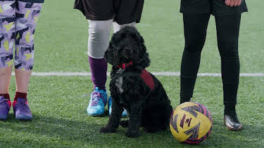 12:20 PM: Dog Squad (S3) | Cbeebies | 8/6 2026
