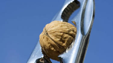 3:30 PM: How It's Made (S16 E1) (S16) | Discovery Channel | 3/27 2026