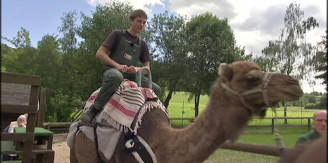 05:50: Giraffe, Erdmännchen & Co. (117) | HR Fernsehen | 11/20 2025