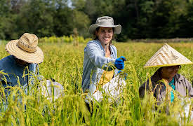 From the Source, Season 1: Rice