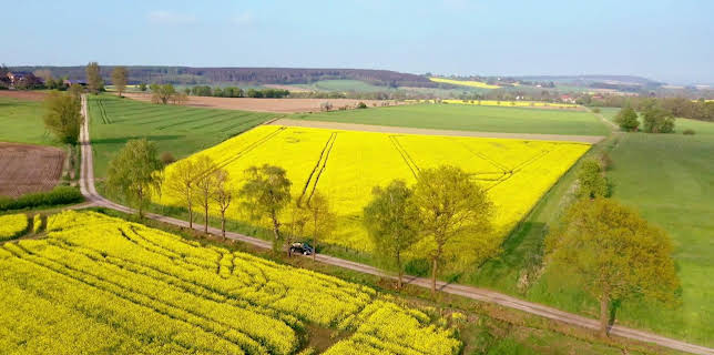 14:00: die nordstory | Radio Bremen | 3/25 2026