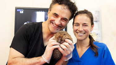 3:00 PM: The Supervet: Noel Fitzpatrick (S5 E16) (S5) | W | 4/5 2026
