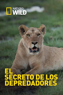 09:05: El secreto de los depredadores: A la vista de todos | Nat Geo Wild | 8/27 2026