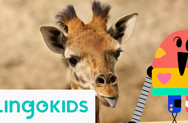 Lingokids: Savannah Song