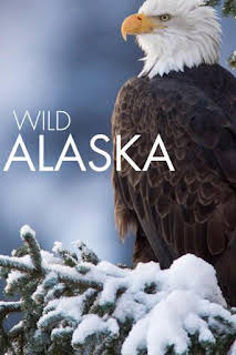 18:34: Alaska salvaje: Verano | Canal 33 | 9/13 2026