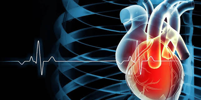 11:30: aktiv und gesund | SWR Fernsehen RP | 12/1 2025