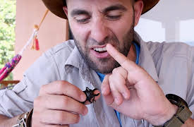 Brave Wilderness: Attack of the Fire Ants