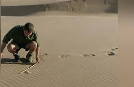 The Jeff Corwin Experience: Season 1: Into Africa