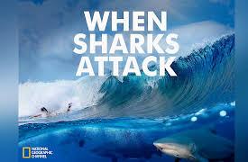 When Sharks Attack Season 2: In Shallow Water