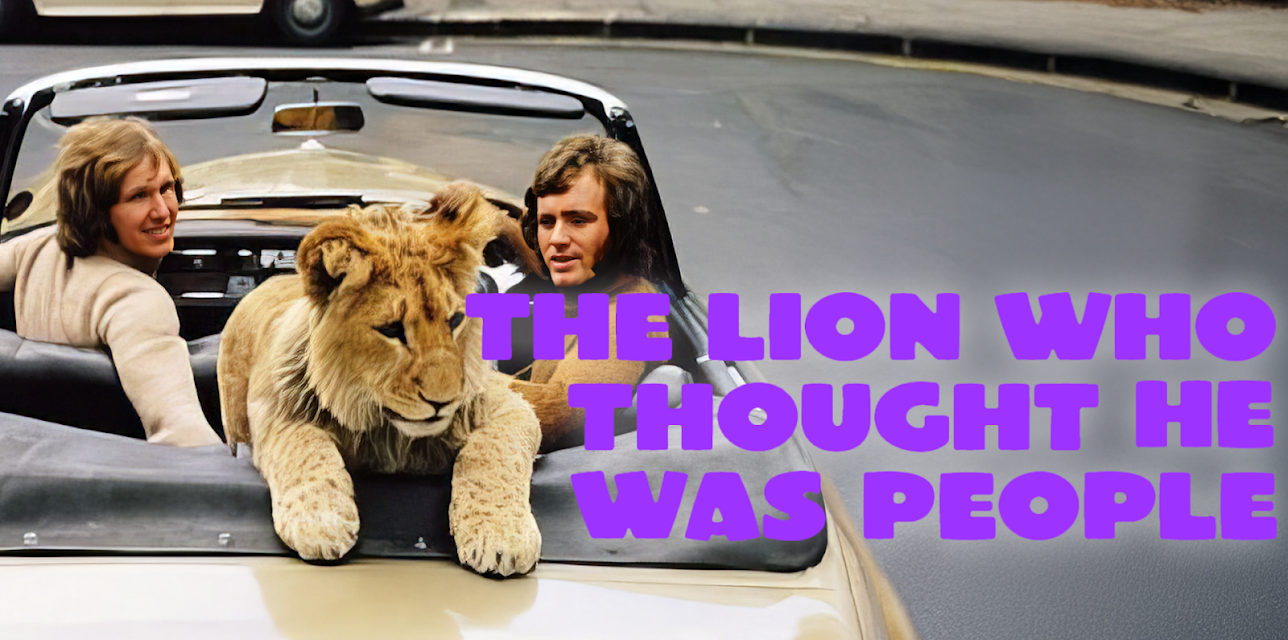 The Lion Who Thought He Was People (1972)