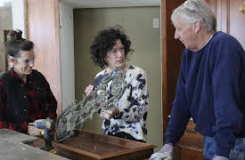 Renovation 911: Defrost Disasters and Falling Limbs