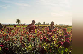 Growing Floret, Season 1: Crossroads