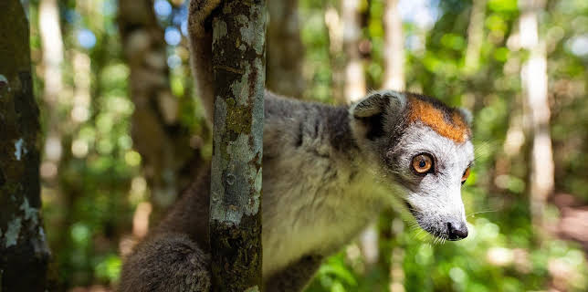 20:15: Länder - Menschen - Abenteuer | ARD Alpha | 3/17 2026