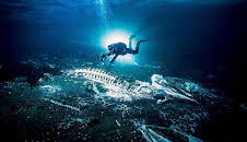 Grönland - Wilde Natur