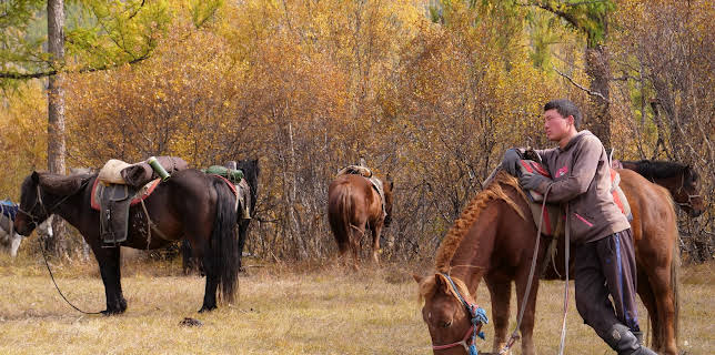13:05: Fish or Die (S1 E4) (S1) | Animal Planet | 11/17 2025