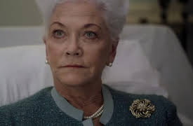 New Amsterdam: Boundaries