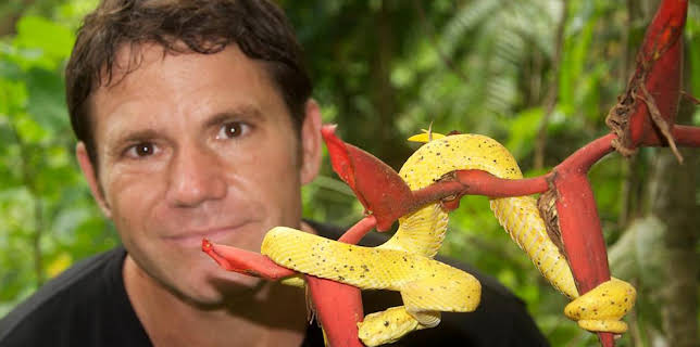 10:35 AM: Deadly 60 (S2) | CBBC | 2/27 2026