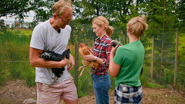 03:10: Draumen om eit småbruk: Biene må ha mat | NRK 1 | 4/26 2026