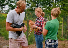Draumen om eit småbruk: Biene må ha mat