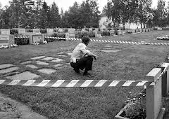 Drapa i Åmsele: Drapa