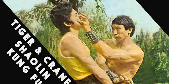 Tiger and Crane Shaolin Kung Fu (1970)