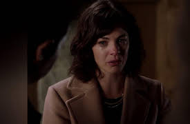 Backstrom Season 1: I Like to Watch