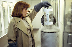 The X-Files: Episode 24