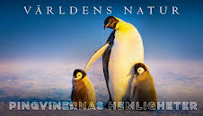 Pingvinernas hemligheter