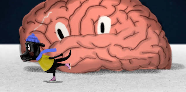 06:10: 42 - Die Antwort auf fast alles | NDR Fernsehen | 11/29 2025