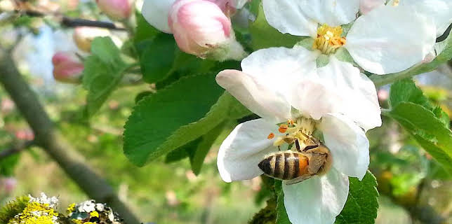 16:20: Grandes Documentales Hijas Del Sol | LA 2 | 3/2 2026