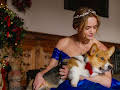 A Royal Corgi Christmas