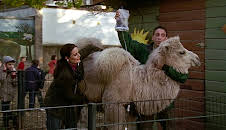 Tierärztin Dr. Mertens (S03/E07)